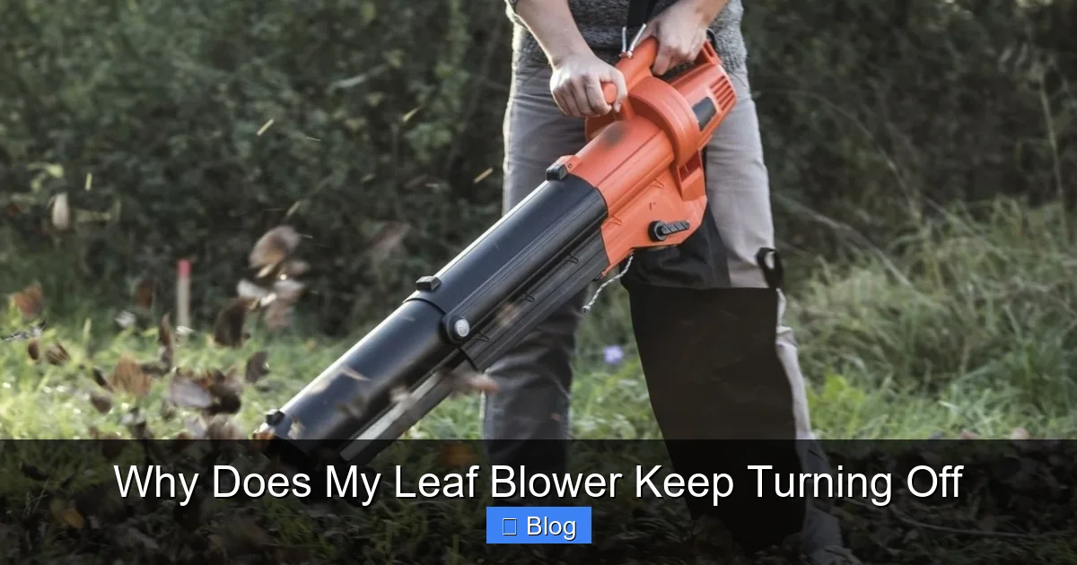 Why Does My Leaf Blower Keep Turning Off