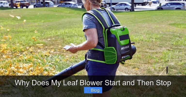 Why Does My Leaf Blower Start and Then Stop