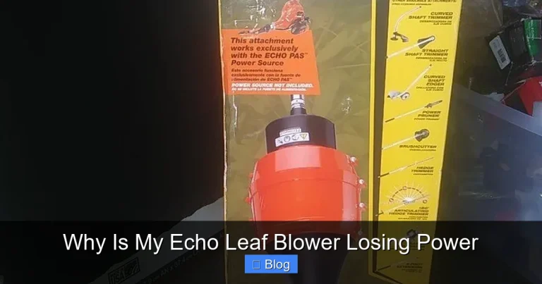 Why Is My Echo Leaf Blower Losing Power