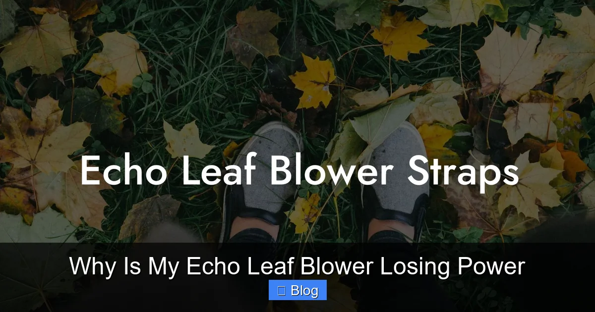 Why Is My Echo Leaf Blower Losing Power