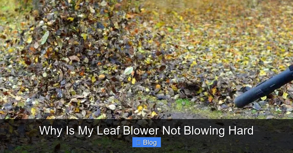 Why Is My Leaf Blower Not Blowing Hard