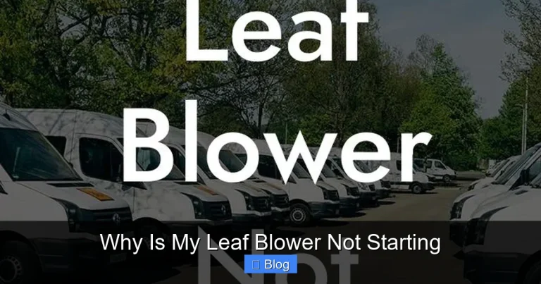 Why Is My Leaf Blower Not Starting