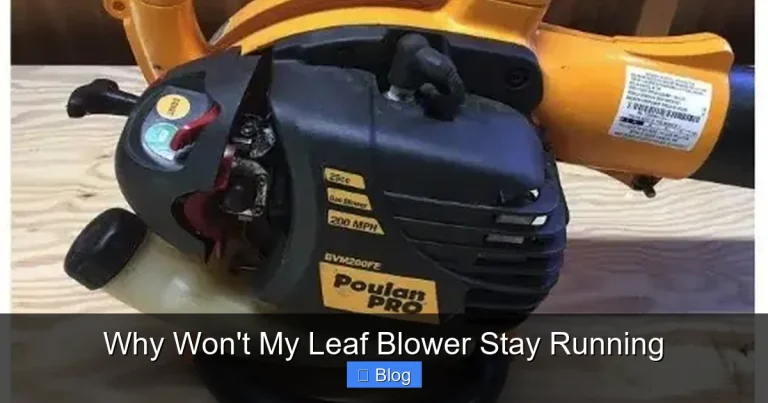 Why Won't My Leaf Blower Stay Running