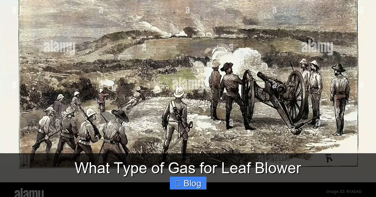 What Type of Gas for Leaf Blower