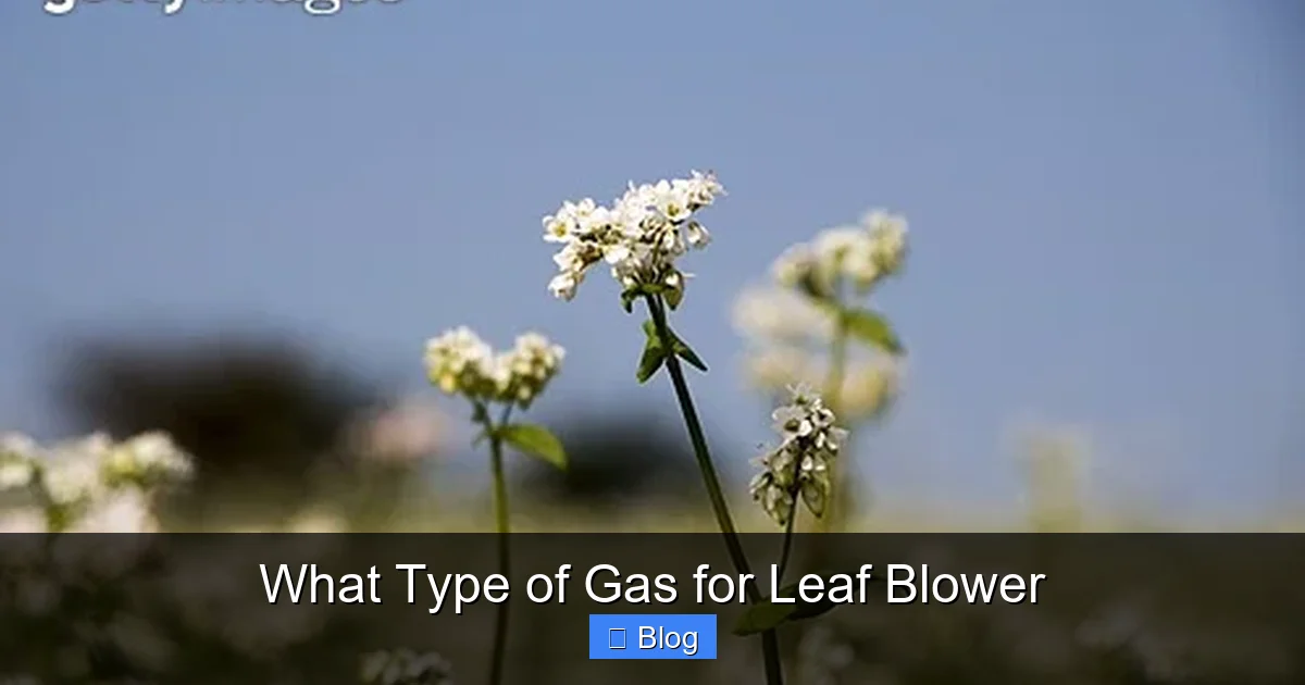 What Type of Gas for Leaf Blower