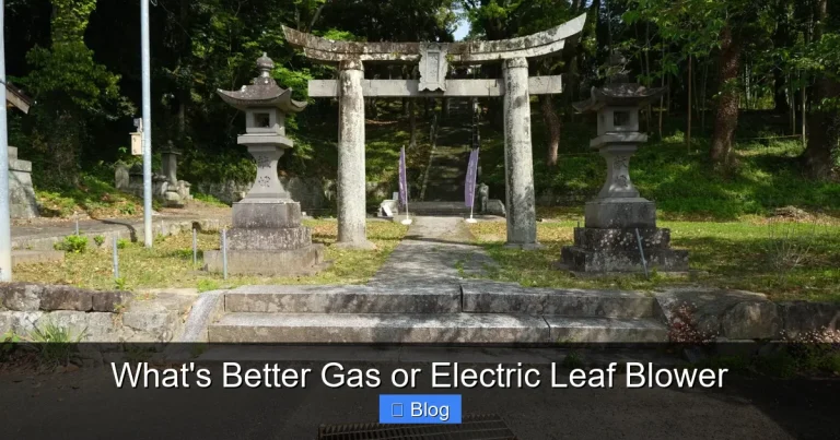 What's Better Gas or Electric Leaf Blower