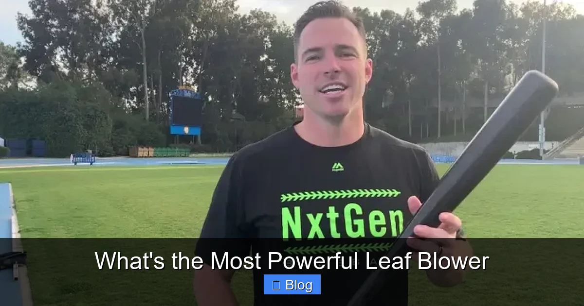 What's the Most Powerful Leaf Blower