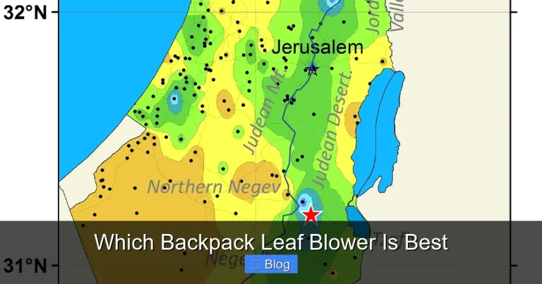 Which Backpack Leaf Blower Is Best