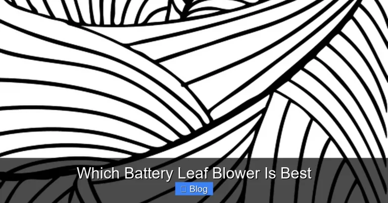 Which Battery Leaf Blower Is Best