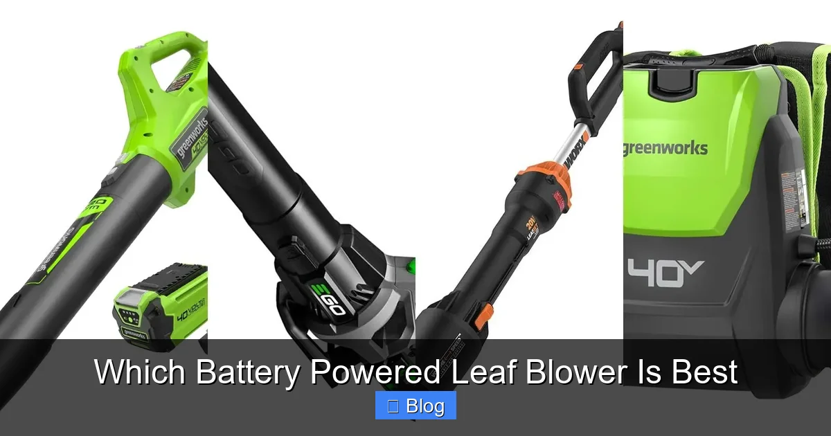 Which Battery Powered Leaf Blower Is Best