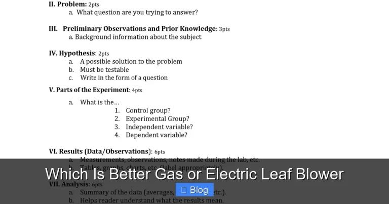 Which Is Better Gas or Electric Leaf Blower
