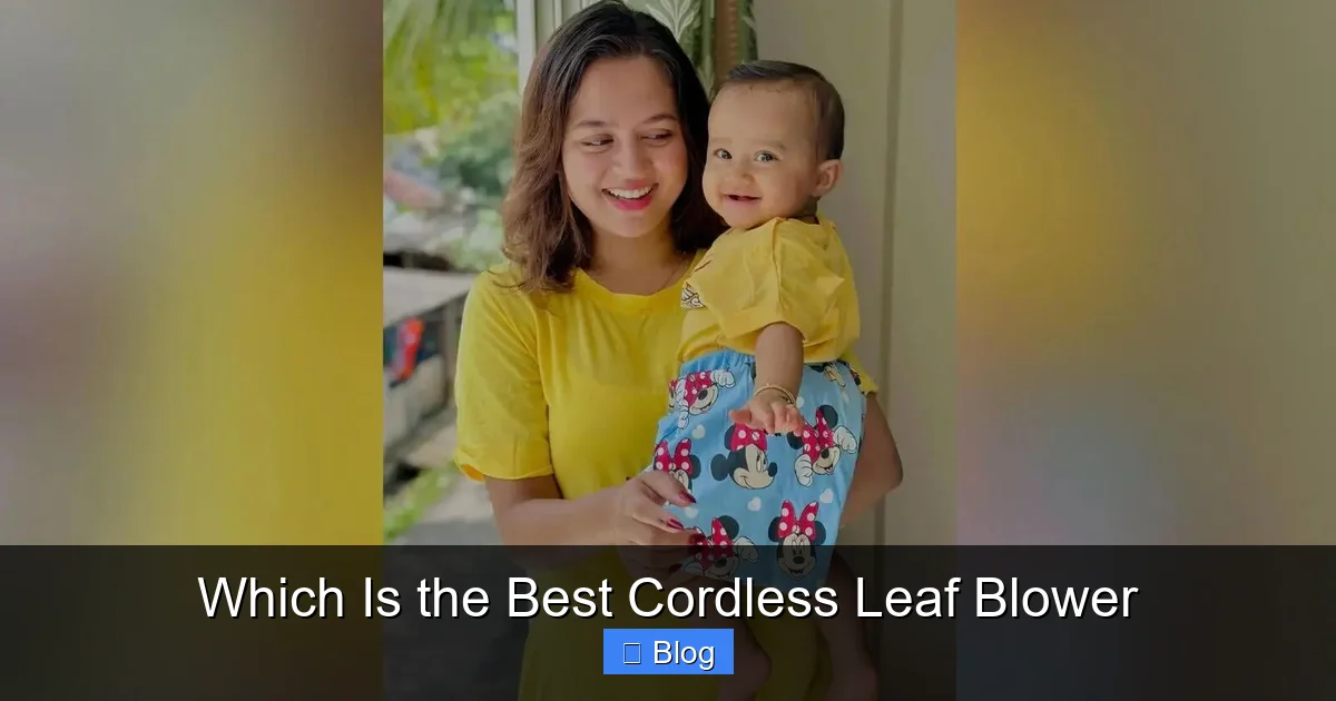 Which Is the Best Cordless Leaf Blower