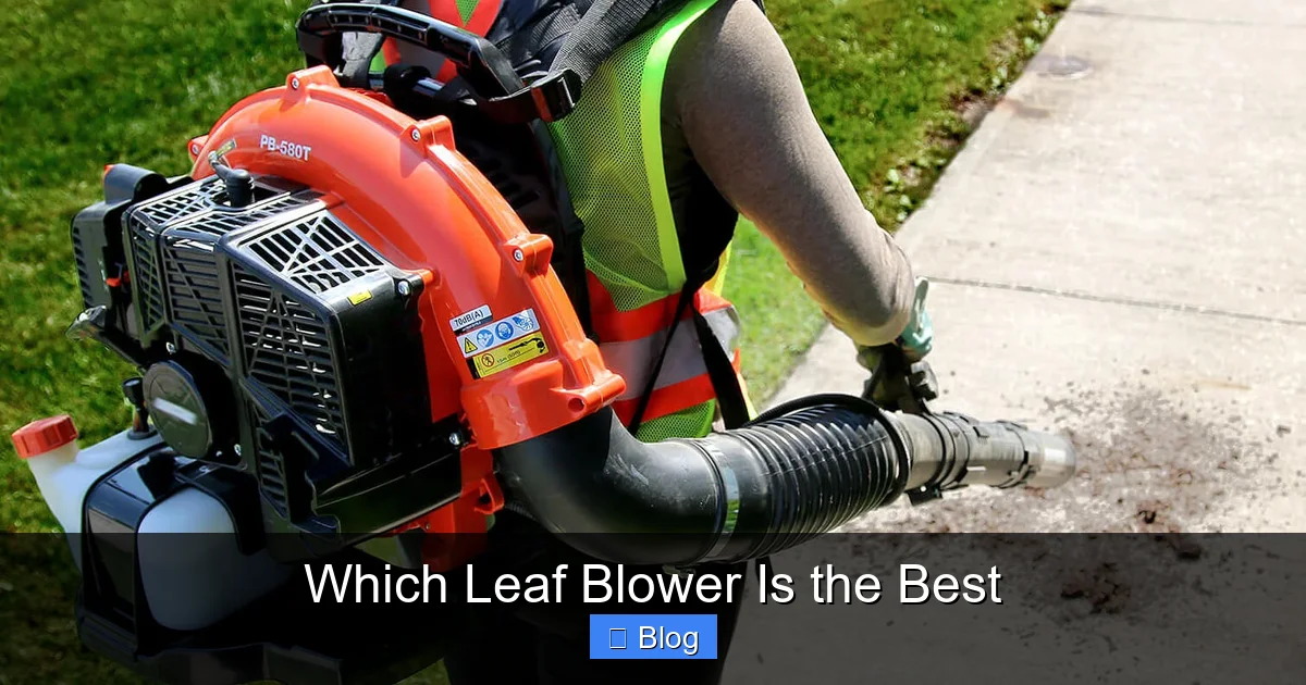 Which Leaf Blower Is the Best