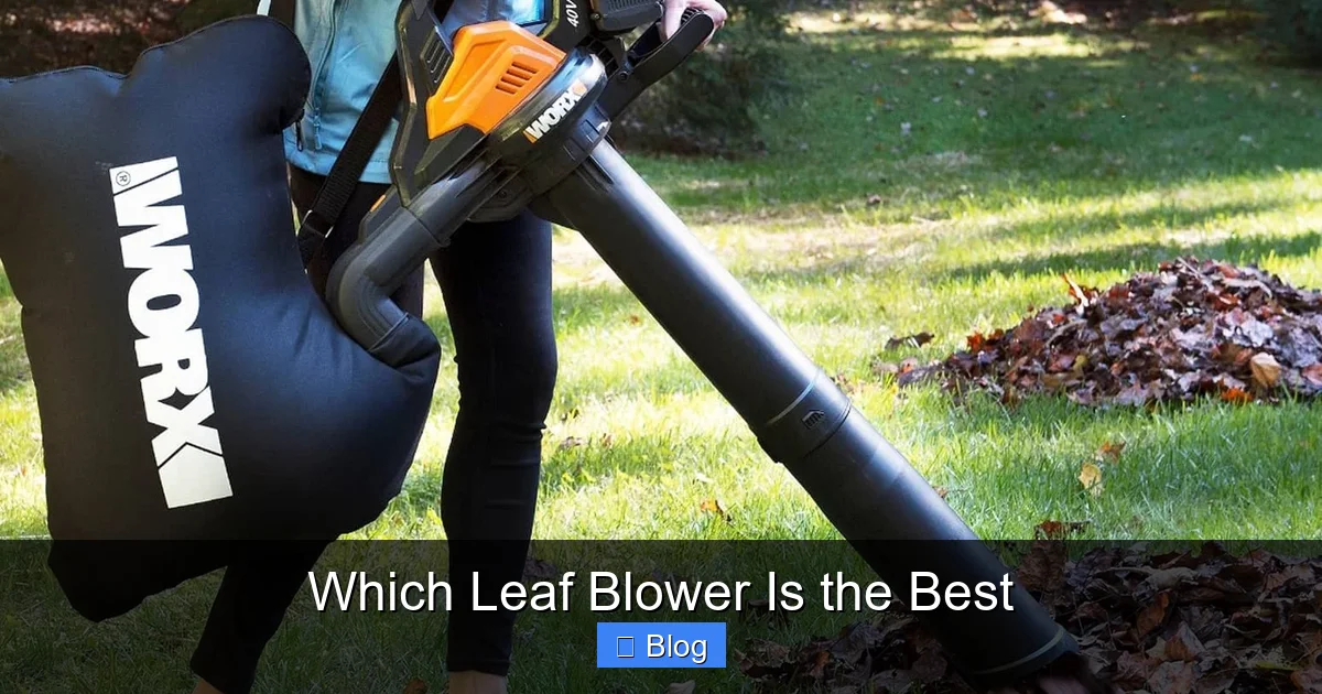 Which Leaf Blower Is the Best