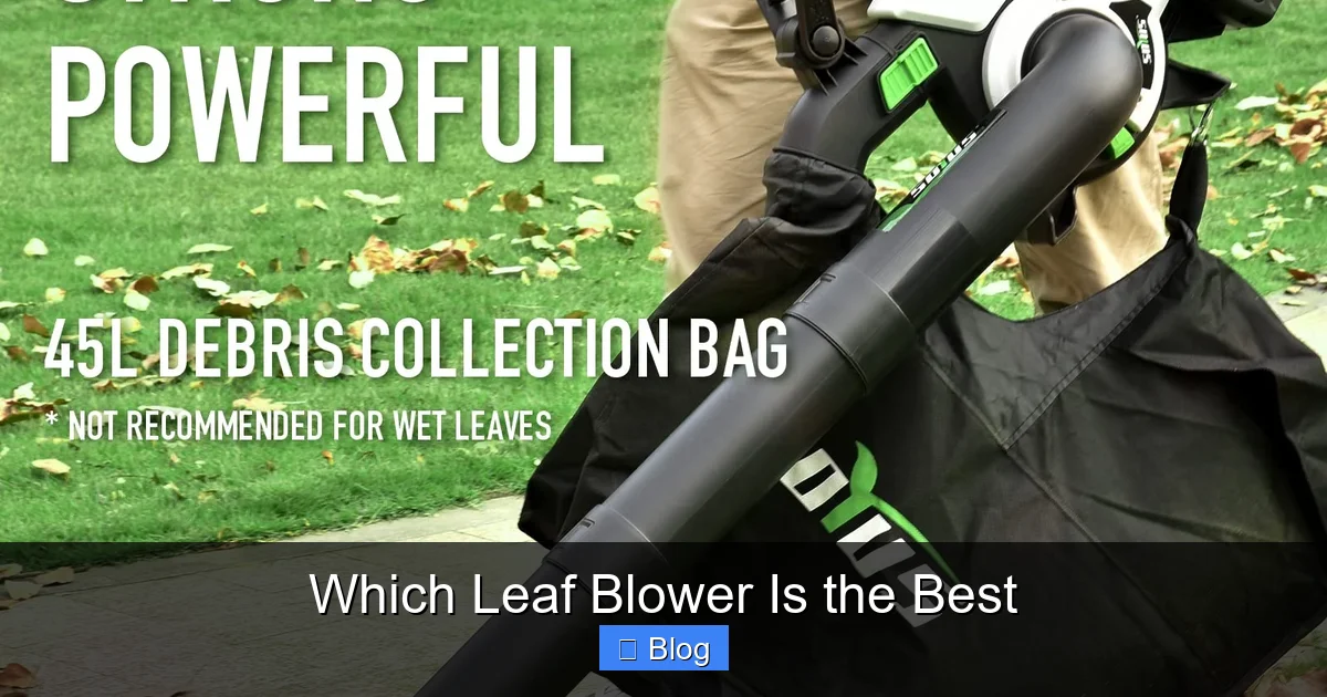 Which Leaf Blower Is the Best
