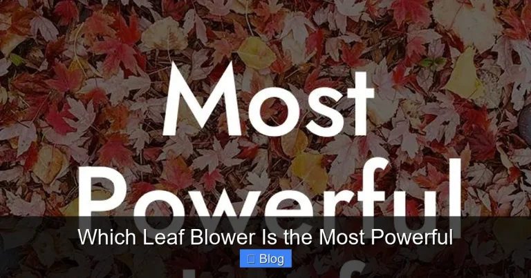 Which Leaf Blower Is the Most Powerful