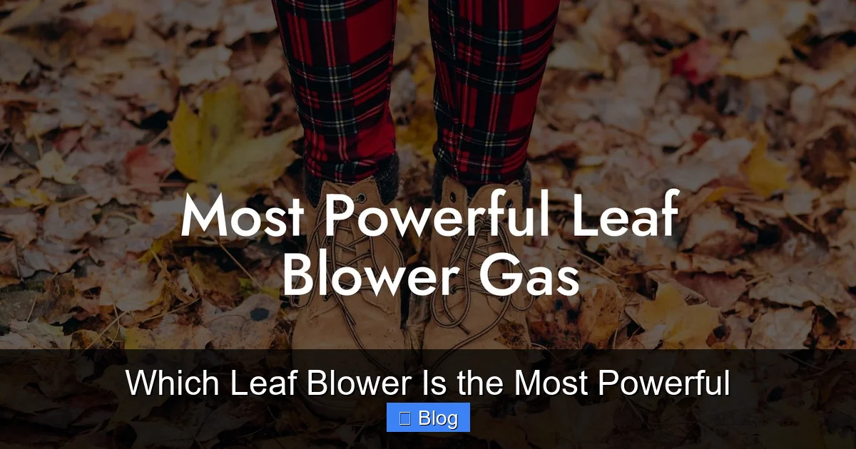 Which Leaf Blower Is the Most Powerful