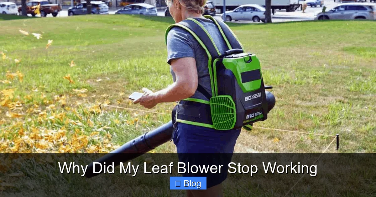 Why Did My Leaf Blower Stop Working