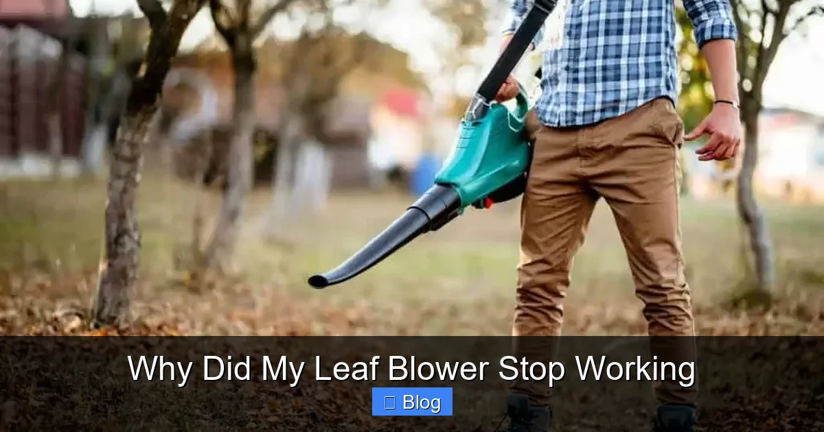 Why Did My Leaf Blower Stop Working