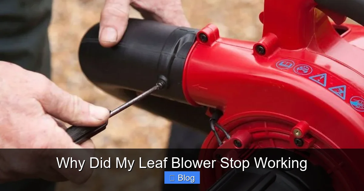 Why Did My Leaf Blower Stop Working