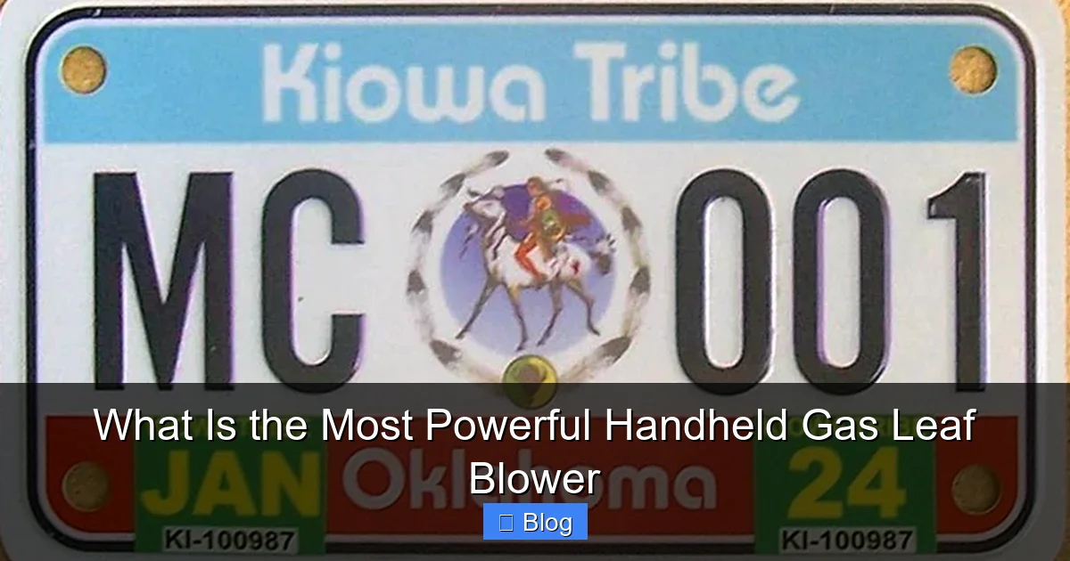 What Is the Most Powerful Handheld Gas Leaf Blower
