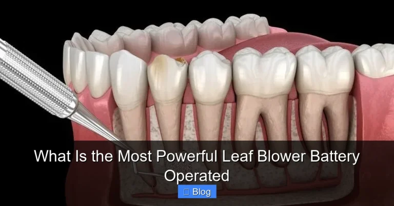 What Is the Most Powerful Leaf Blower Battery Operated