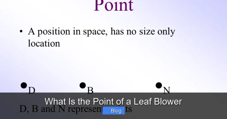 What Is the Point of a Leaf Blower