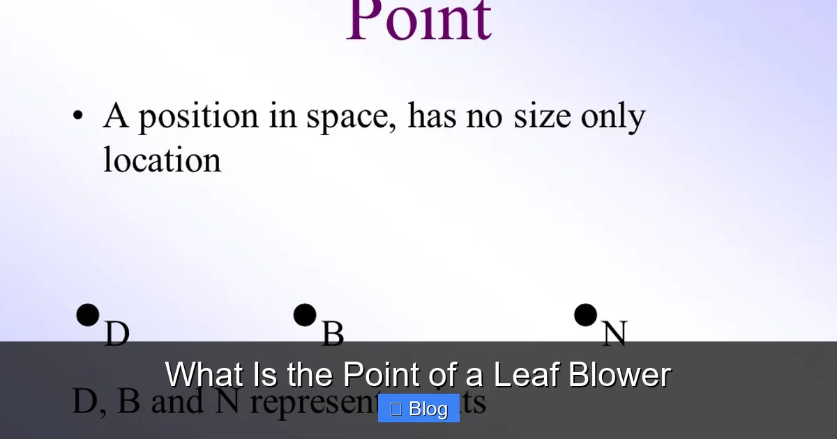 What Is the Point of a Leaf Blower