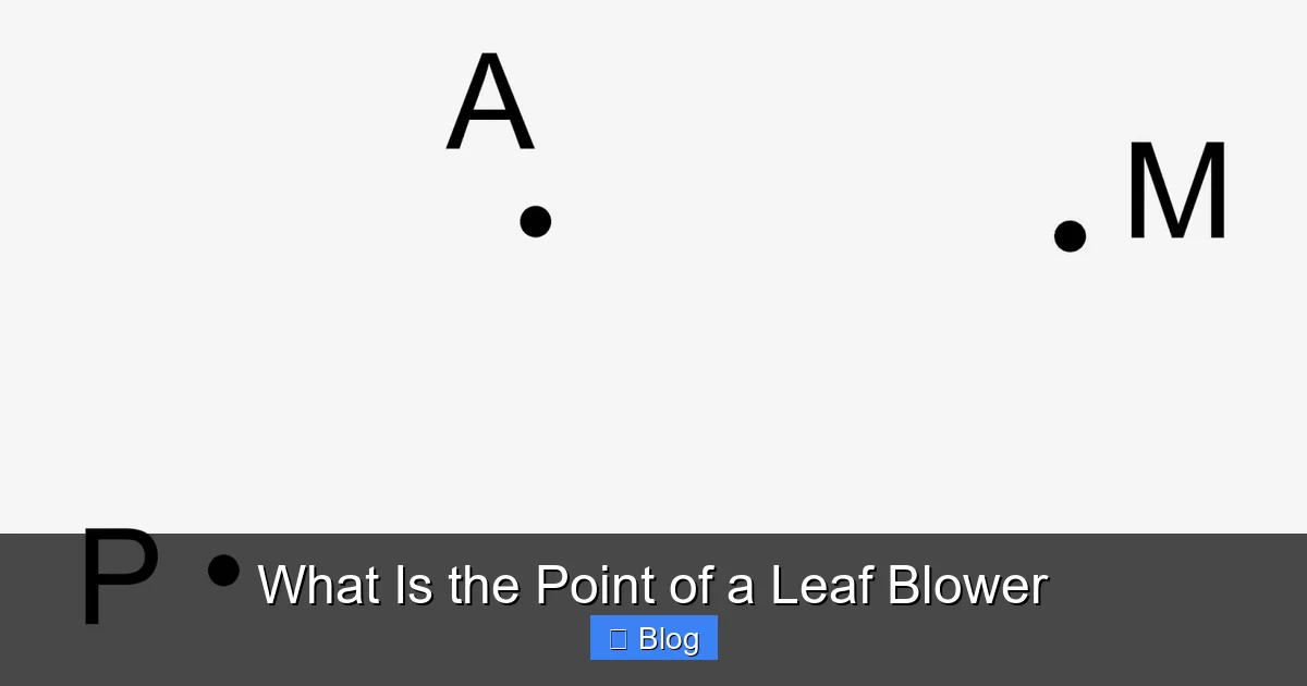 What Is the Point of a Leaf Blower