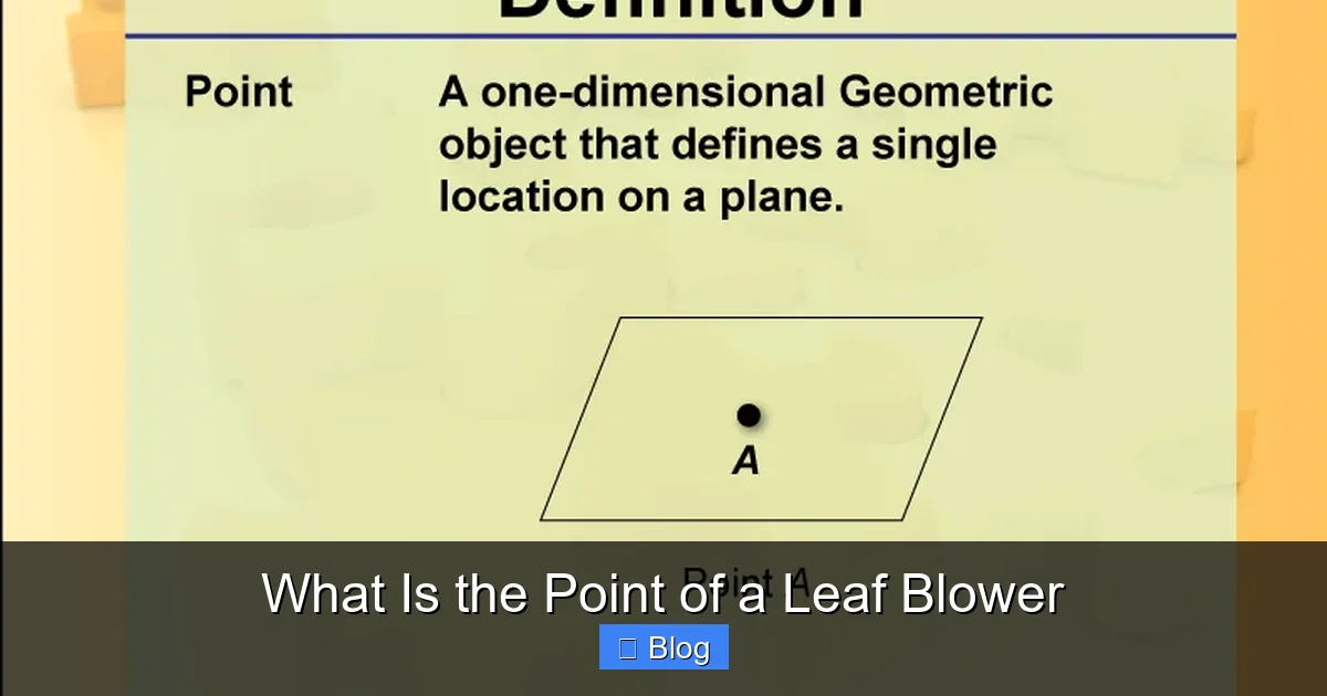 What Is the Point of a Leaf Blower