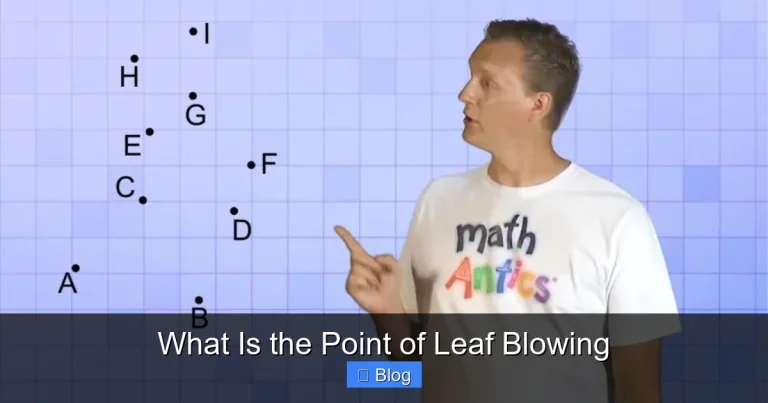 What Is the Point of Leaf Blowing