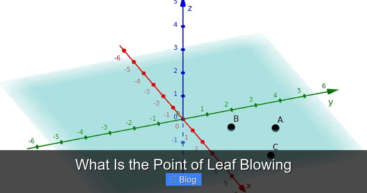 What Is the Point of Leaf Blowing