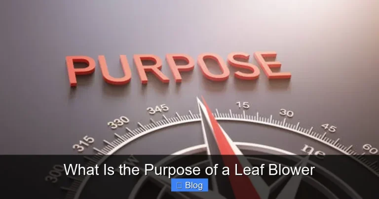 What Is the Purpose of a Leaf Blower