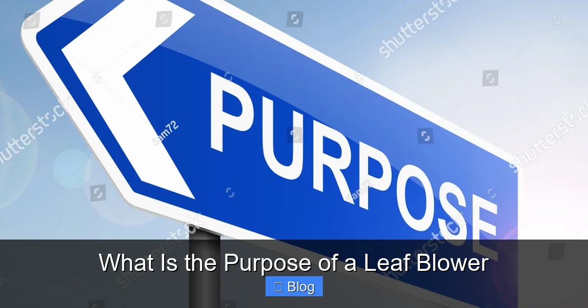 What Is the Purpose of a Leaf Blower