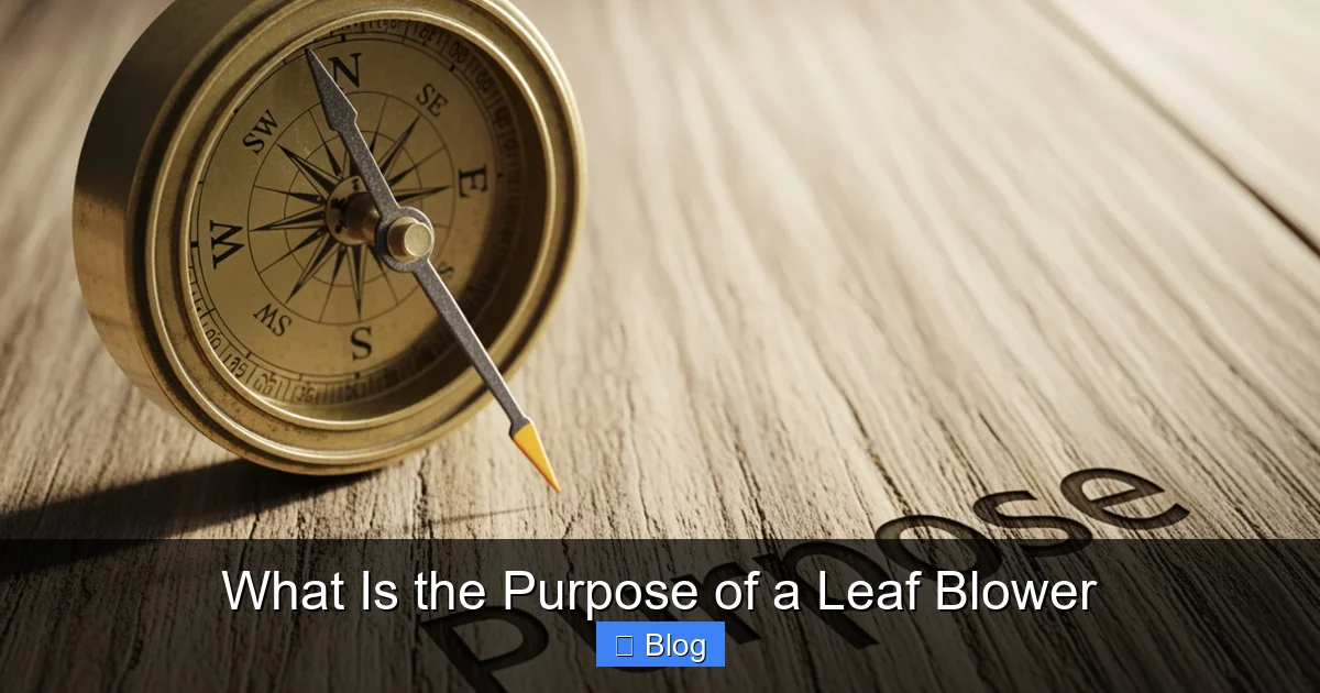 What Is the Purpose of a Leaf Blower