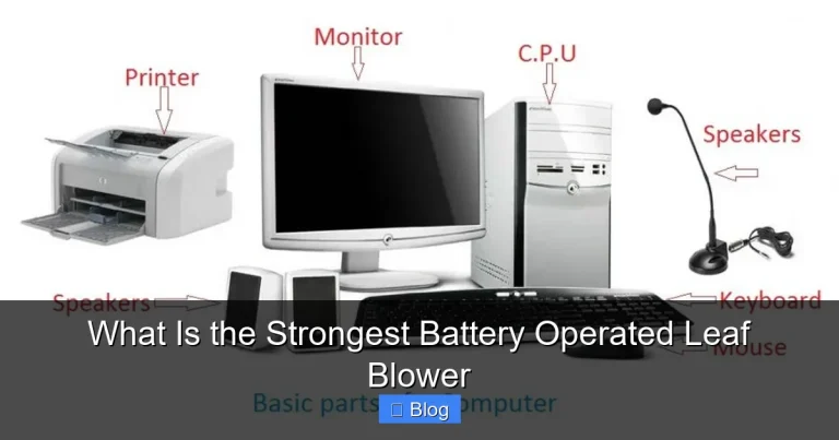 What Is the Strongest Battery Operated Leaf Blower