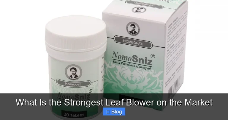 What Is the Strongest Leaf Blower on the Market