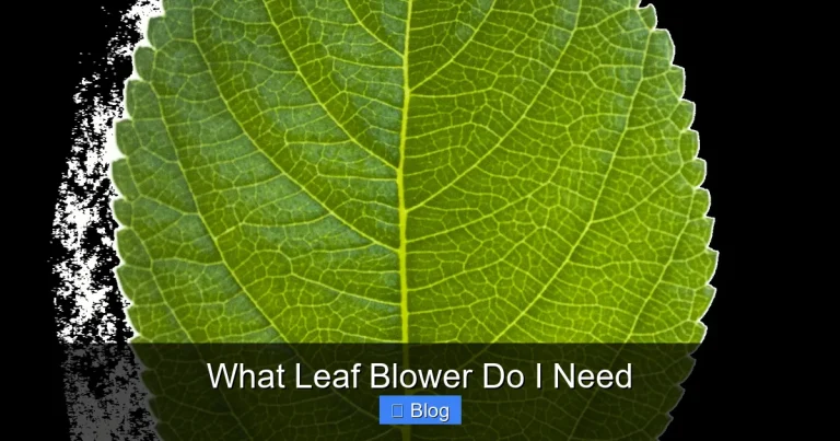 What Leaf Blower Do I Need