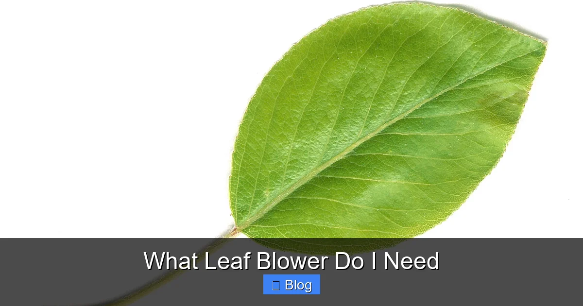 What Leaf Blower Do I Need