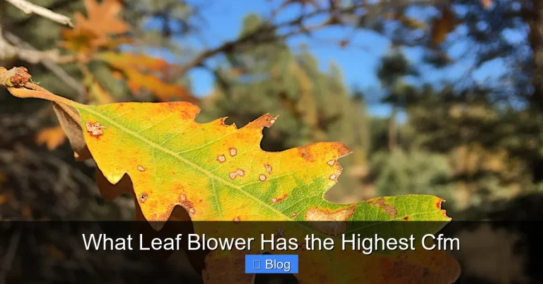 What Leaf Blower Has the Highest Cfm
