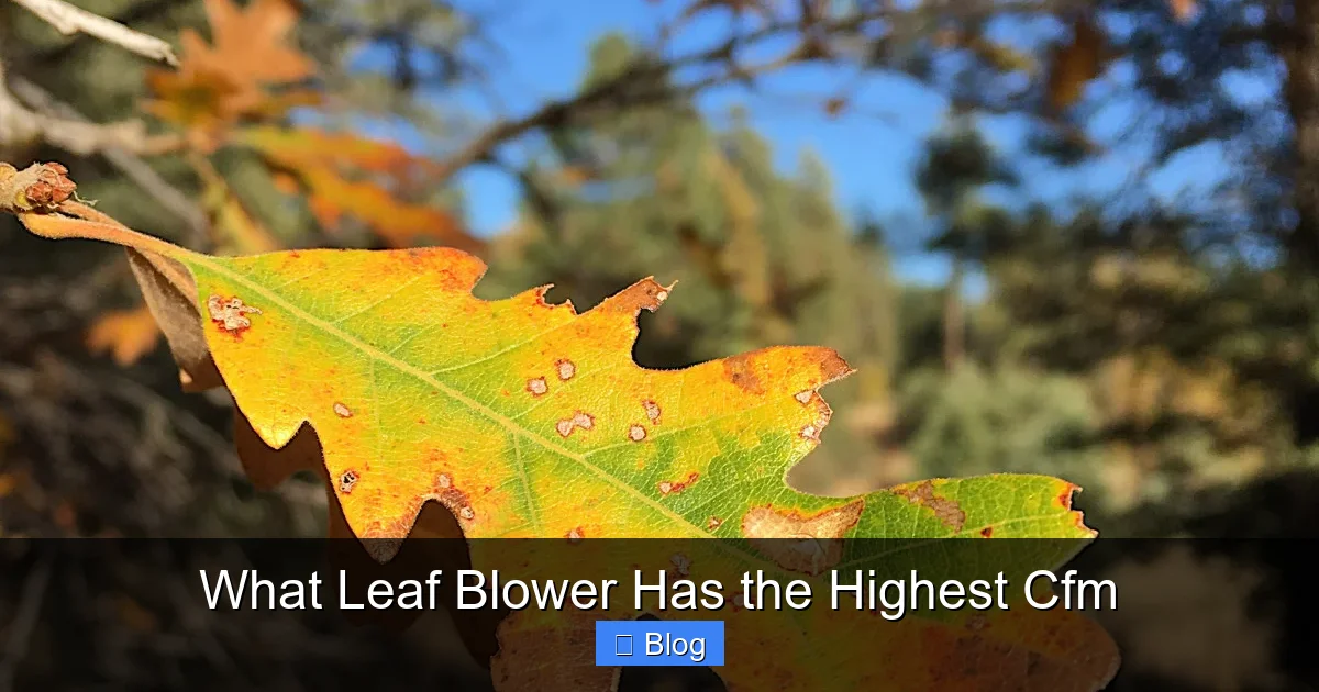 What Leaf Blower Has the Highest Cfm