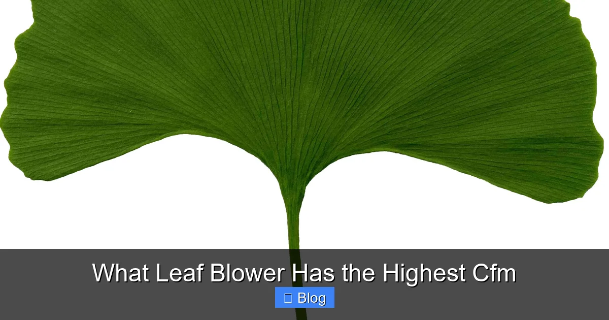 What Leaf Blower Has the Highest Cfm