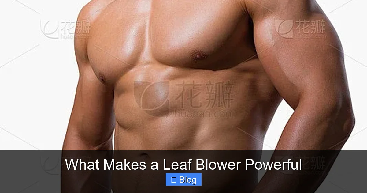 What Makes a Leaf Blower Powerful
