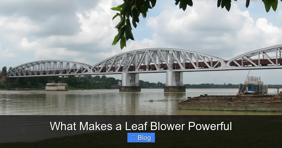 What Makes a Leaf Blower Powerful