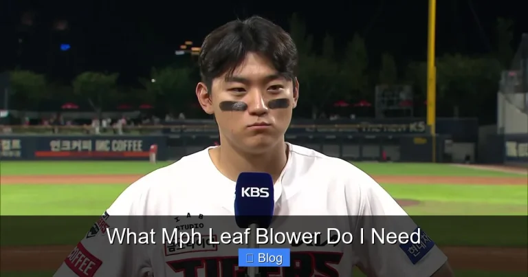 What Mph Leaf Blower Do I Need