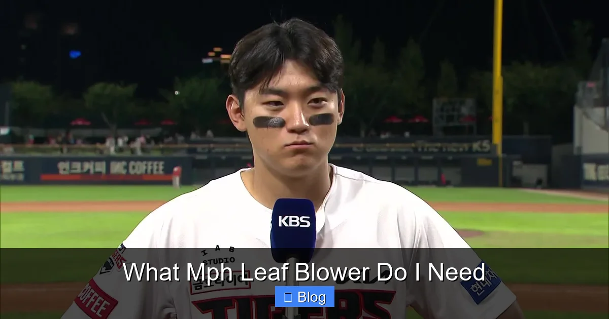 What Mph Leaf Blower Do I Need