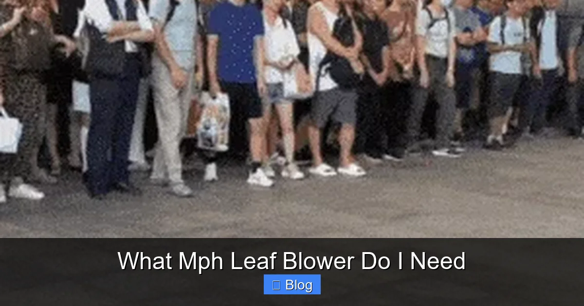 What Mph Leaf Blower Do I Need