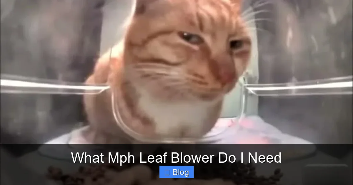 What Mph Leaf Blower Do I Need