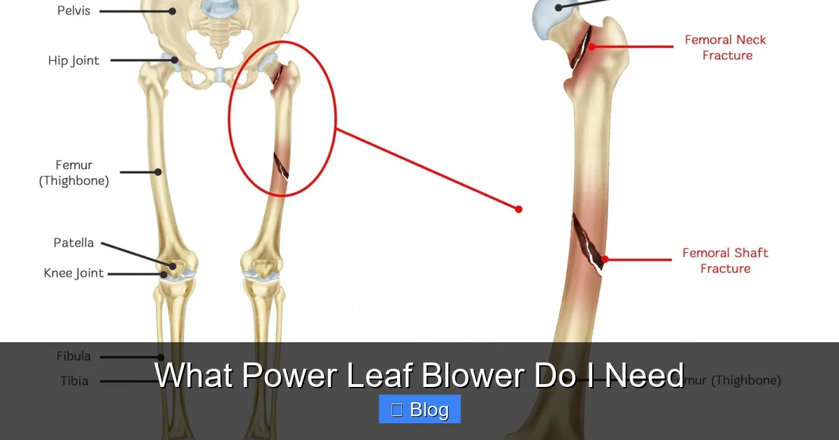 What Power Leaf Blower Do I Need