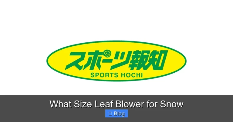 What Size Leaf Blower for Snow